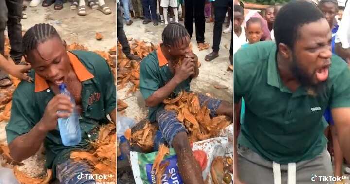 Nigerian man causes stir as he attempts to set Guinness World Record by peeling 50 coconuts with his teeth [Video]