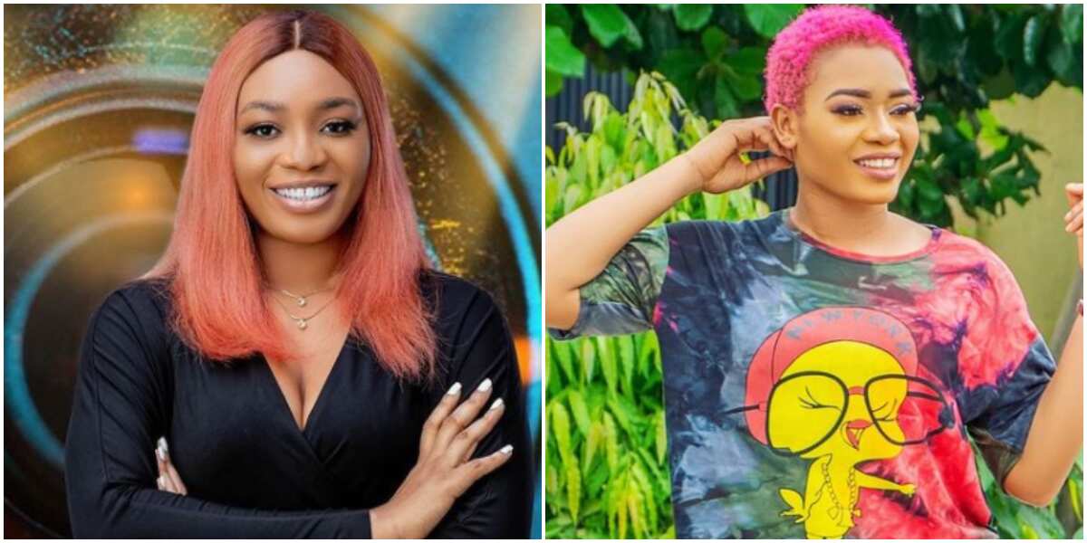 BBNaija: Beatrice reveals Maria is manipulative, Liquorose isn't smart and Whitemoney is the best in the house