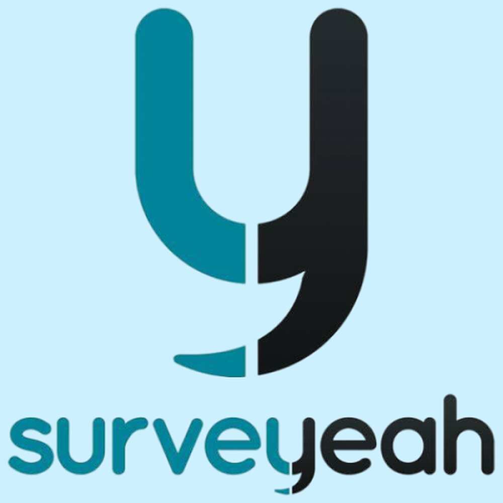 online jobs that pay online jobs that pay