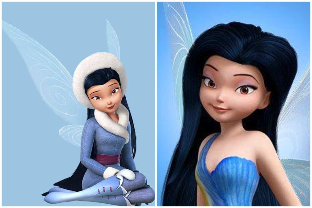 Disney Fairies: Meet the Fairies: Silvermist! 