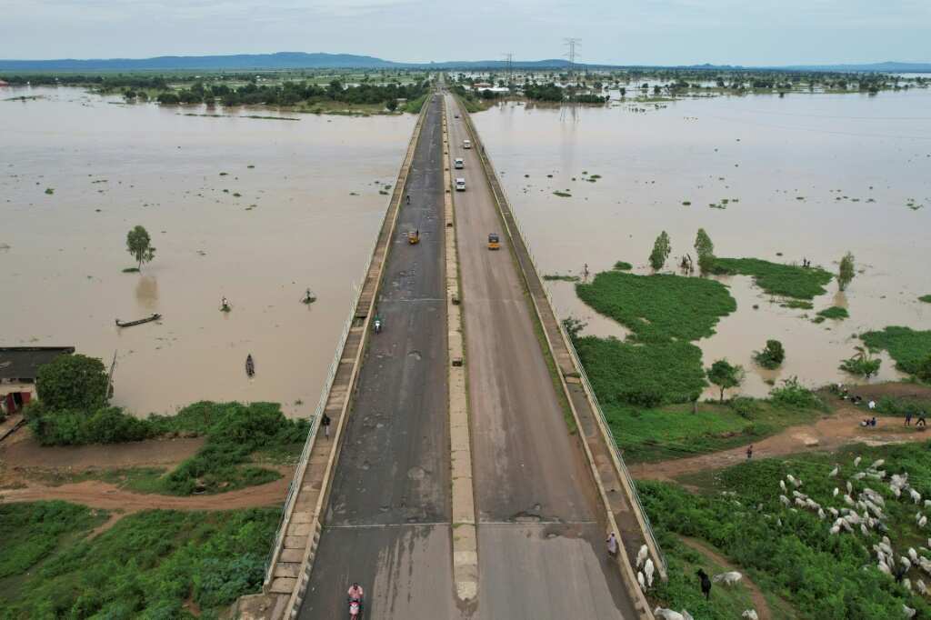 Heavy floods ravage West Africa farmlands - Legit.ng