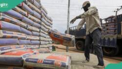 Jubilation as cement price falls in Abuja, Lagos, other Nigerian cities