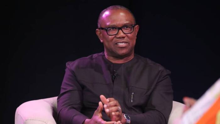 Peter Obi wows The Candidates audience, intrigues Nigerians