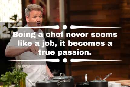 55 best quotes by Gordon Ramsay from MasterChef and Hell's Kitchen ...