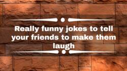 100 really funny jokes to tell your friends to make them laugh
