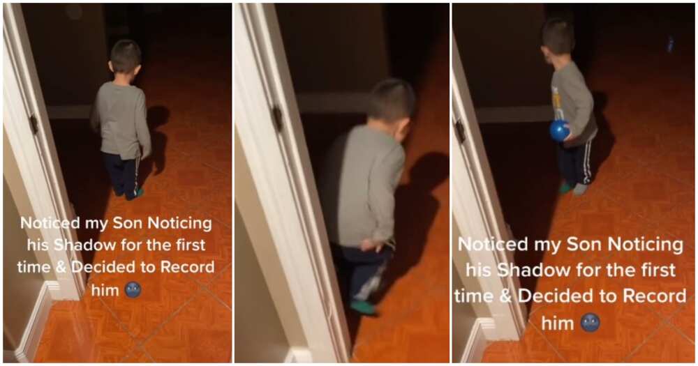 Video Shows Funny Moment Little Boy Screamed in Fear and Tried to Flee on Seeing His Shadow for the First Time Video Shows Funny Moment Little Boy Screamed in Fear and Tried to Flee on Seeing His Shadow for the First Time