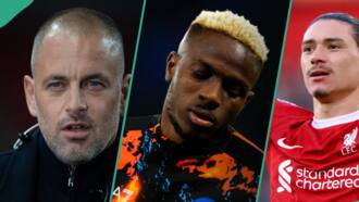 Beryl TV 5f802a9ef509bbe7 “He Is Far Better”: Napoli Fans Pick Who Is the Better Striker Between Higuain, Osimhen and Cavani Entertainment 