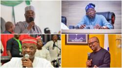 Full list of 2023 presidential candidates, their running mates, ages and educational qualifications