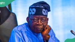 Tinubu gives CBN orders about Emirate, other foreign airlines over $600 million debt