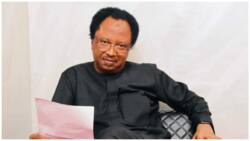 It should come with apologies: Shehu Sani reacts as Buhari orders reopening of Nigeria’s borders