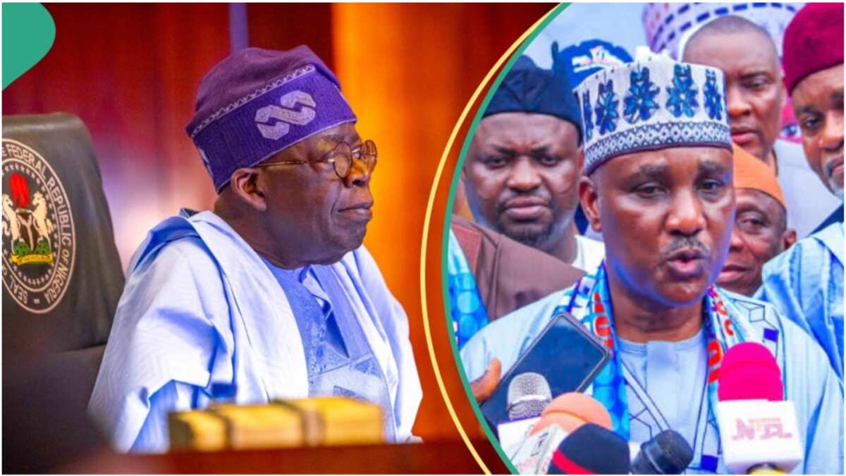 Full List: President Tinubu writes lawmakers to confirm his 17 new appointees