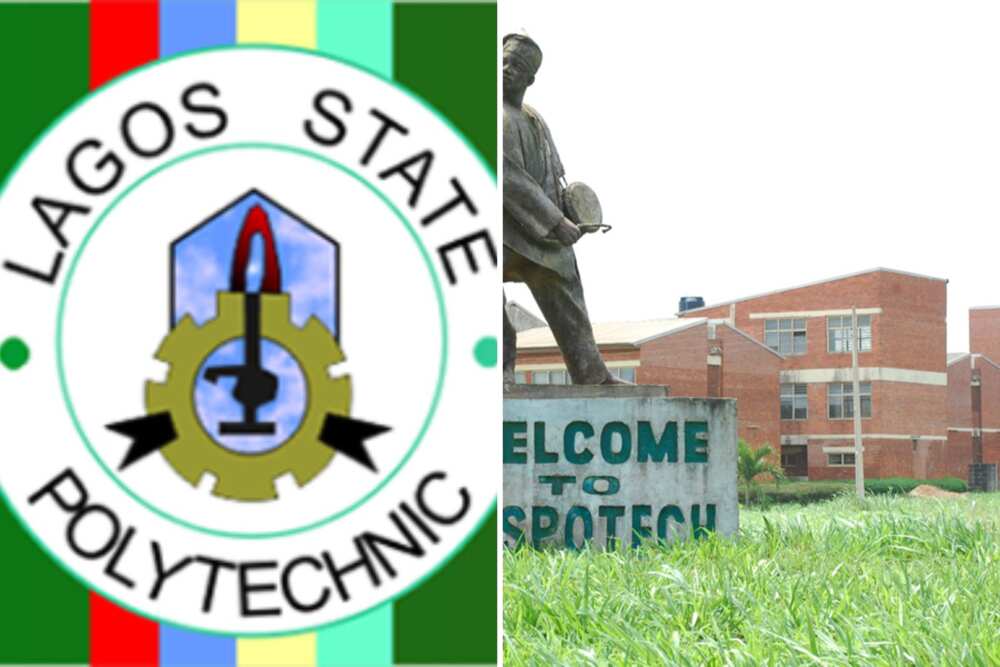 Which polytechnic is the best in Nigeria?