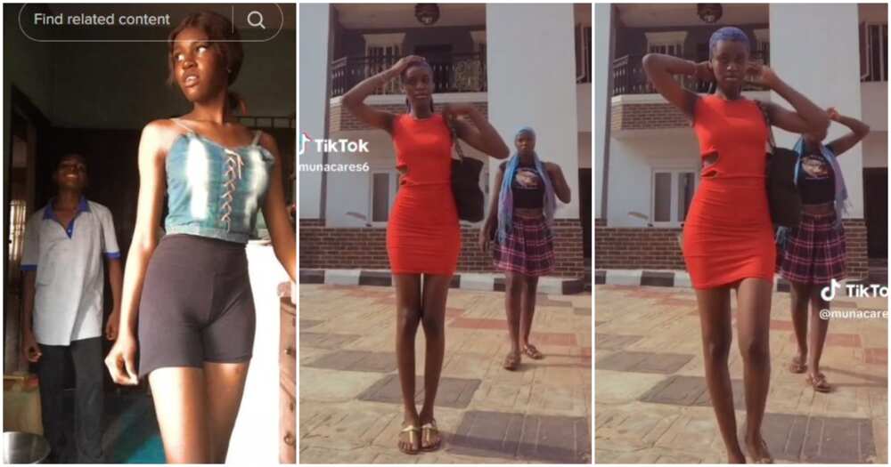 Nigerian lady, very tall lady, height, short girls