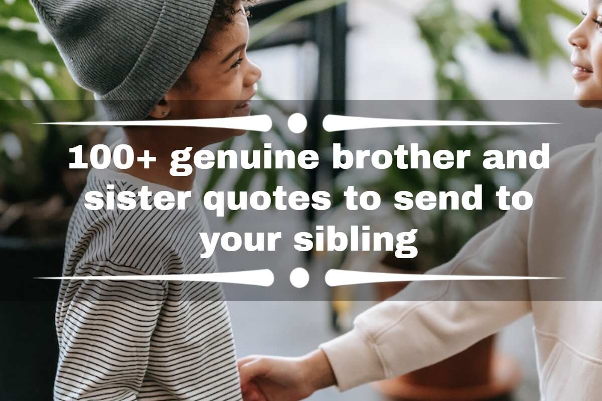 100+ genuine brother and sister quotes to send to your sibling 