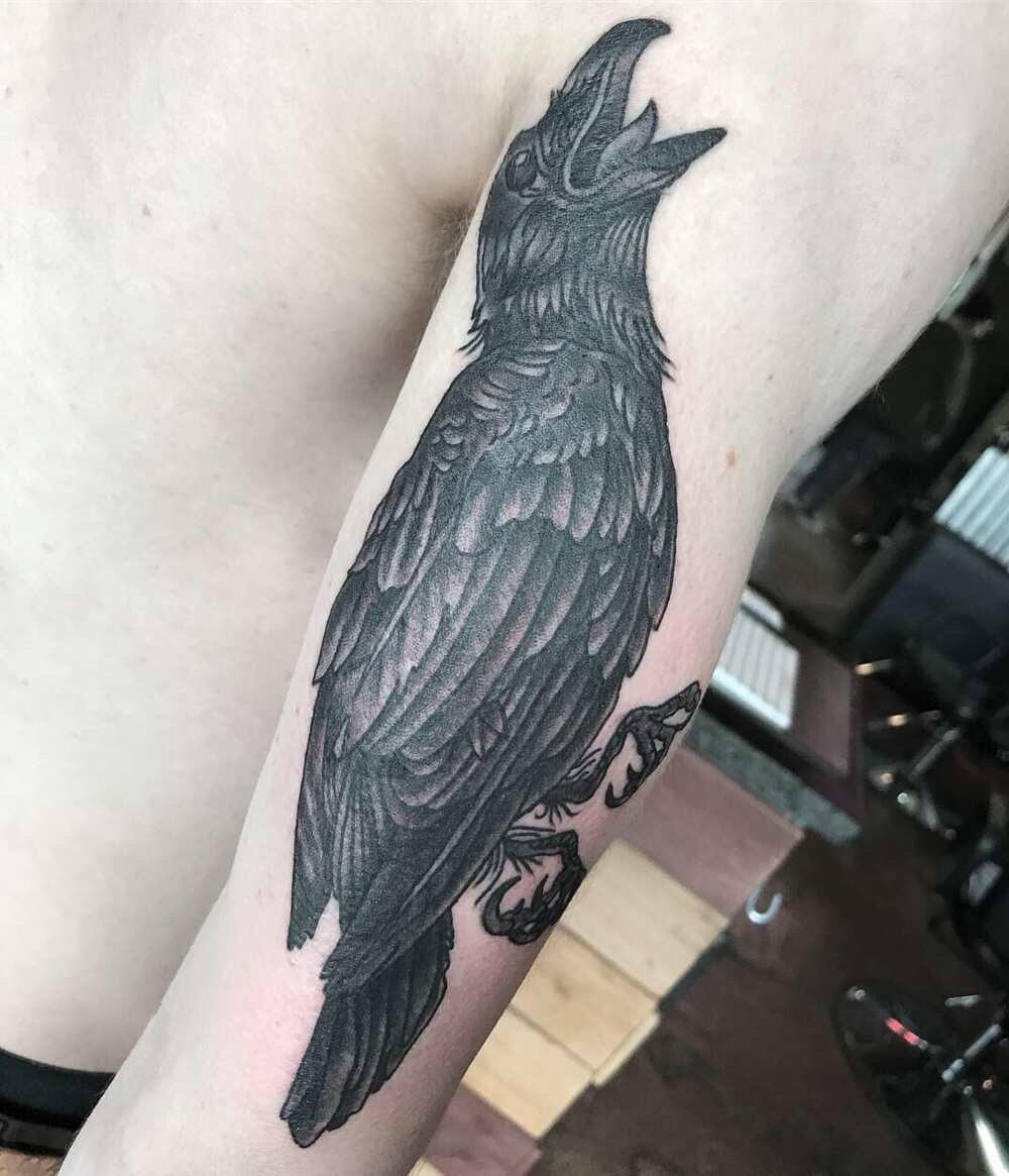 Raven tattoo: meaning and 50 design ideas 
