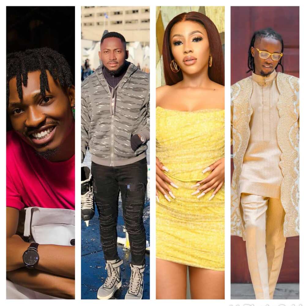 Big Brother Naija: How the Show Boosted the Careers of Past Winners