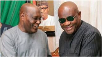 Amid deepening crisis Atiku makes irresistible promise to Wike as both PDP big wigs meet in Abuja