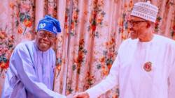 Buhari meets Tinubu, reveals why he has not been on APC presidential candidate's campaign trail