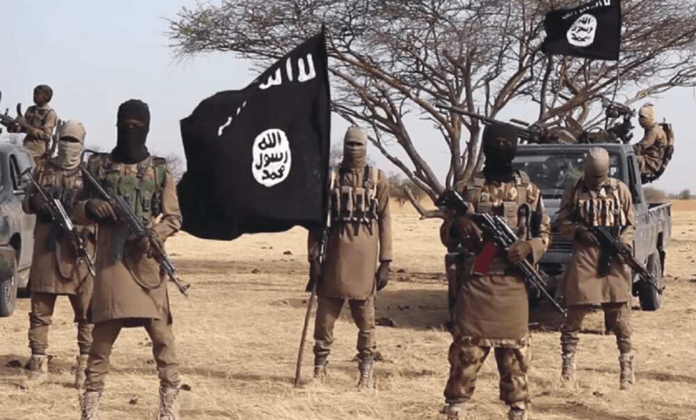 ISWAP ta sako manyan jami'an jihar Borno 5 da ta yi garkuwa da su