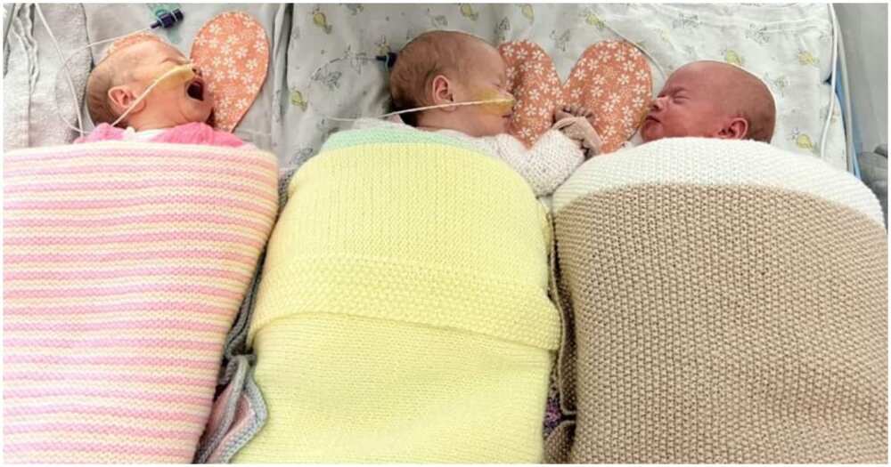 Thea, Lily, Esmae Thea, Lily, Esmae