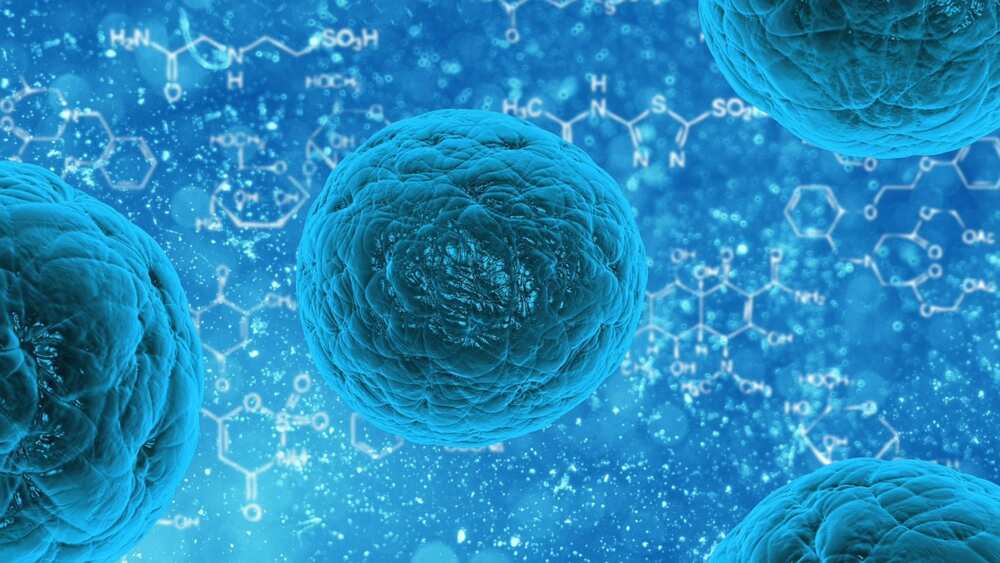 Double Stemcell benefits: are there any?