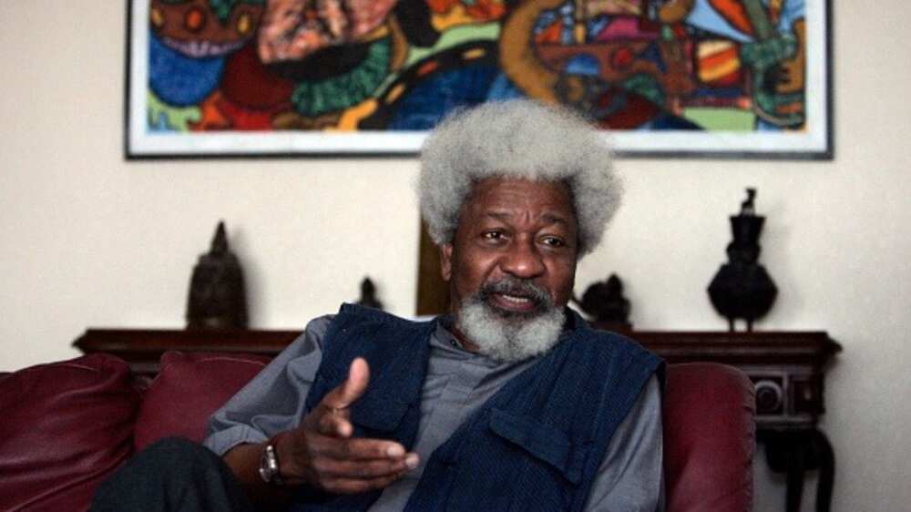 Herdsmen crisis: Police confirm cows strayed into Soyinka’s compound, reveals owner