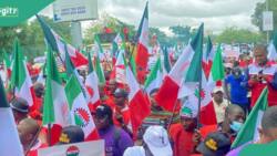 Nationwide lockdown looms as NUPENG, ASSBIFI join NLC's proposed strike