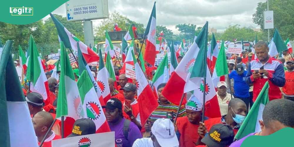 Nigeria Labour Congress, TUC, Bola Tinubu, FG, fuel subsidy removal