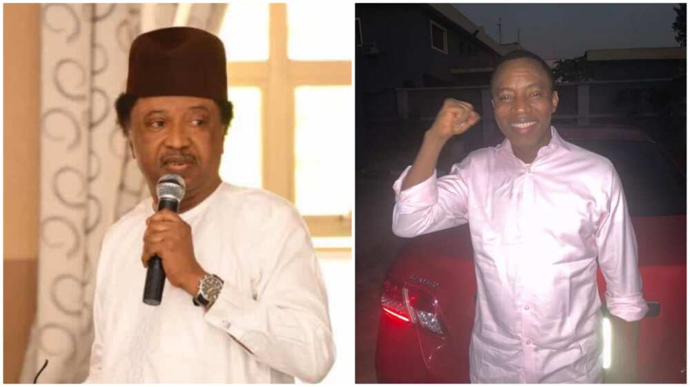 Shehu Sani reacts to arrest of Sowore