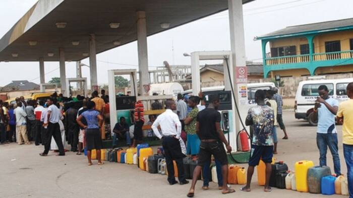 Marketers promise Nigerians ‘mother of all fuel queues’, counter govt N74bn subsidy payment claim