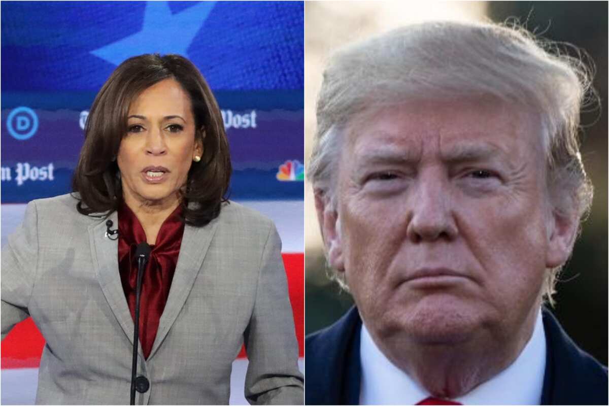 Trump reacts as Kamala Harris pulls out of 2020 US presidential bid ...