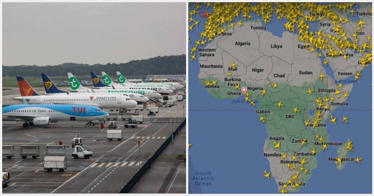 See how much airlines charge passengers as Niger closes airspace