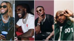 Burna Boy, Wizkid & 6 Other Nigerian Singers Dominate List of Most-Viewed Music Videos on YouTube in Africa