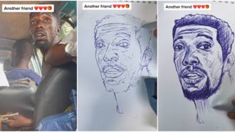 "Please draw me": Talented street artist produces a quick sketch of bus conductor, video trends on TikTok