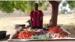 Nigerian graduate flaunts his fruits and vegetables business with pride, photo stirs mixed reactions