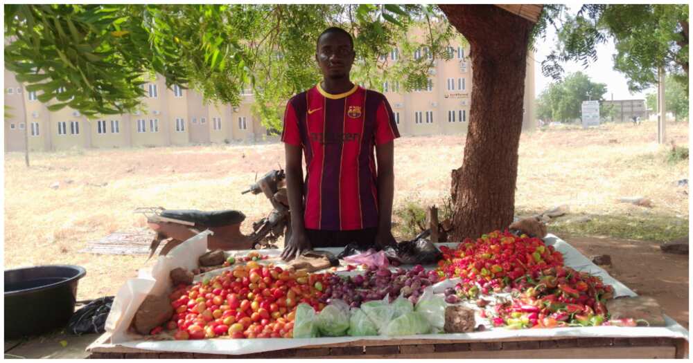 Lukman Suleiman, Usmanu Danfodiyo University Teaching Hospital Sokoto, Nigerian graduate selling tomatoes