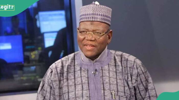 Choose PDP or remain in hell, former Jigawa governor Sule Lamido tells Nigerian