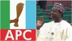 APC suspends prominent house of reps member over thuggery activities