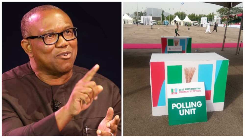 Peter Obi, APC, 2023 presidential primary, politics in Nigeria