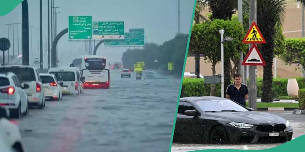 UAE has reported cancelled and delayed flights in and out of Dubai, asking students and people to study and work from home as heavy rain returned to the Emirates.