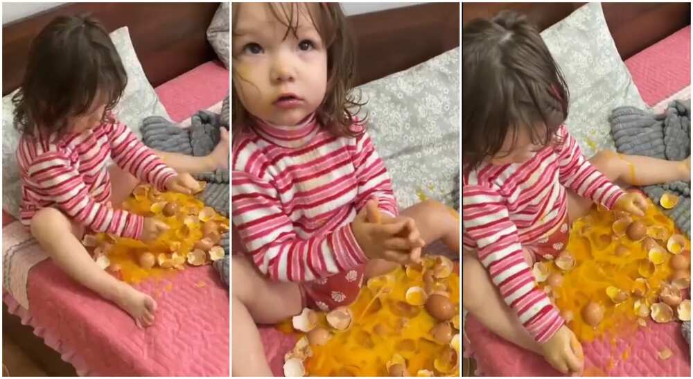Photos of a girl playing with broken eggs.