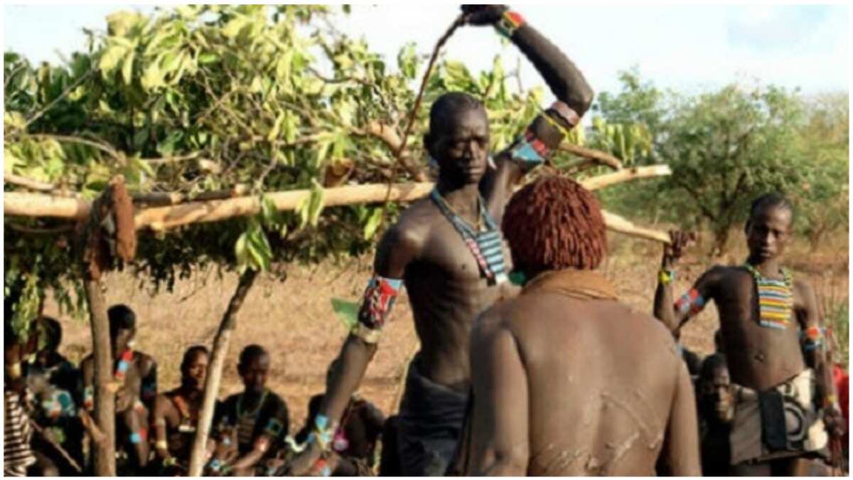 Interesting facts about Sharo, the Fulani festival where boys endure ...