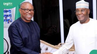 “PDP cannot win alone”: House of Reps aspirant explains why Peter Obi should reject Atiku’s offer