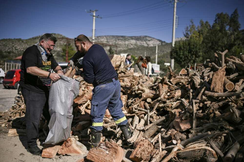 The firewood comes from trees that fell down in a snowstorm in January The firewood comes from trees that fell down in a snowstorm in January