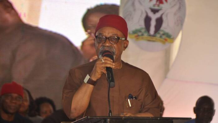 ASUU strike: We’ve reached reasonable agreement with lecturers, says Ngige