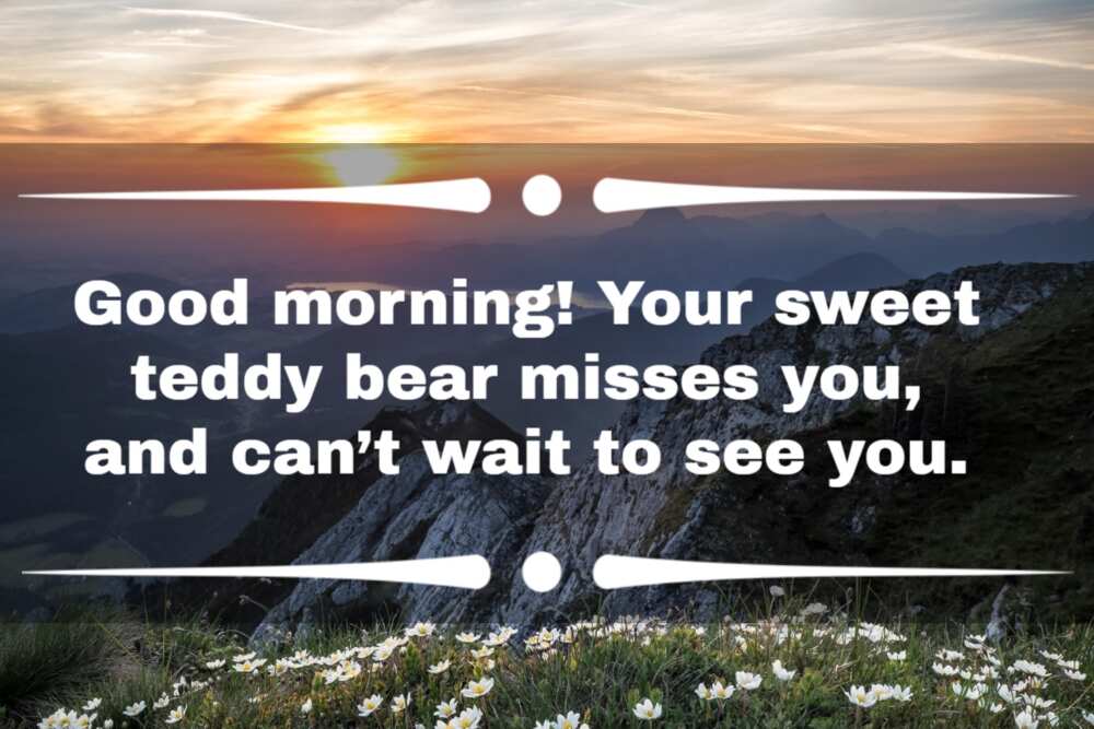 53 funny good morning quotes to share with your loved ones 