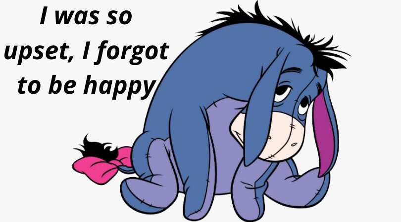 Eeyore The Donkey Quotes / 67+ A Few Eeyore Quotes to Brighten Your Day and Would Be Nice