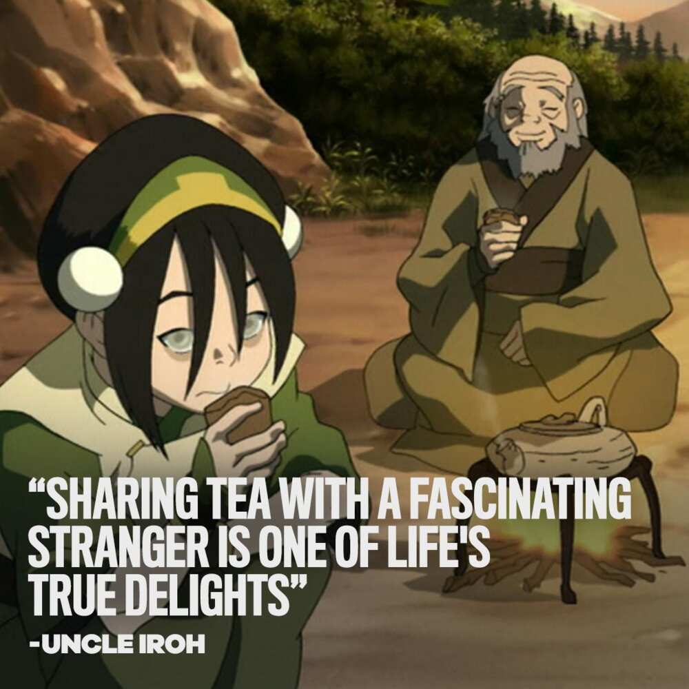 You sound like my nephew, always thinking you need to do things on your own  without anyone's support. There's nothing wrong with letting people who  love you help you. Uncle Iroh 