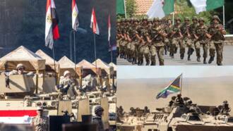 Egypt, Algeria tower over Nigeria as complete list of 2023 top 10 most powerful military in Africa emerges