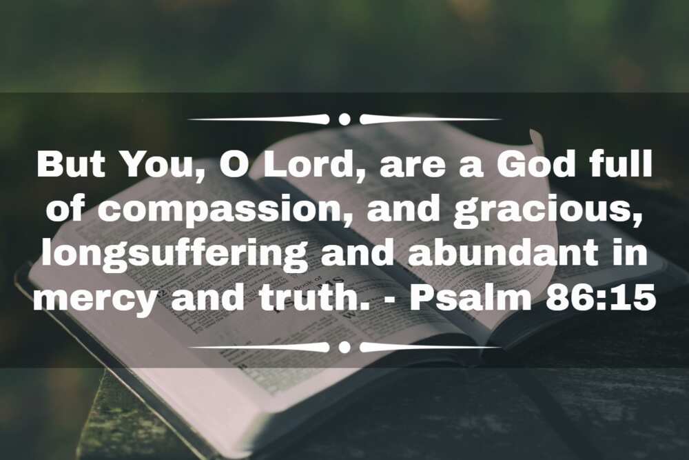 psalms for mercy and favour psalms for mercy and favour